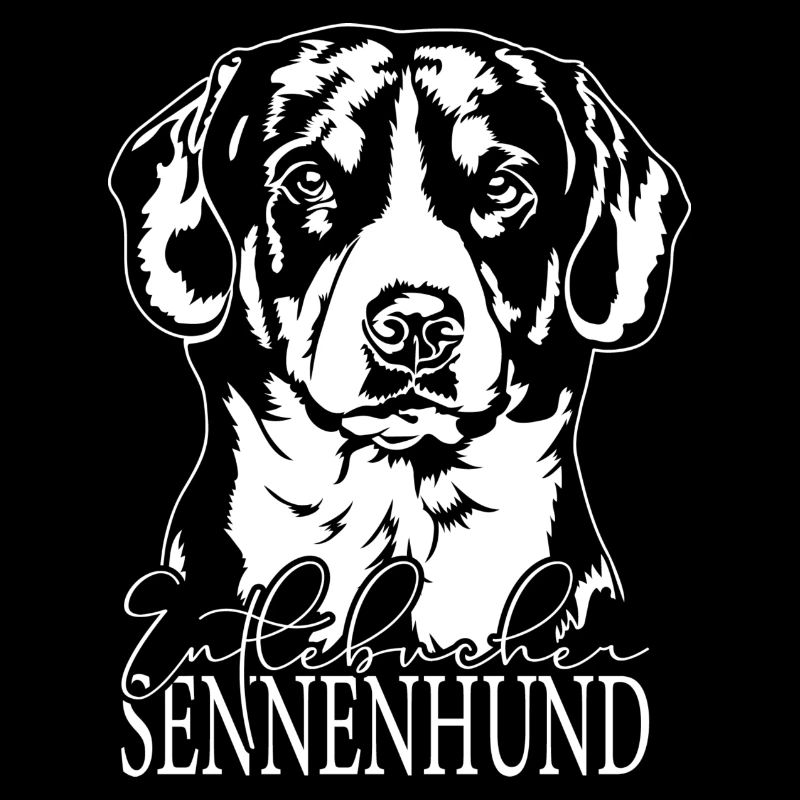 Entlebucher Sennenhund Portrait Hunde Wilsigns