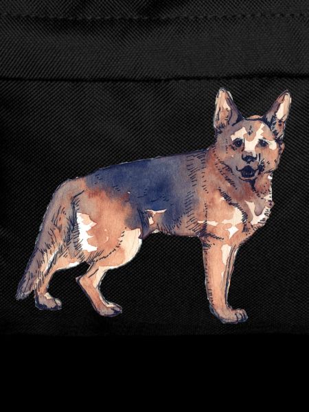 Deutscher Schäferhund