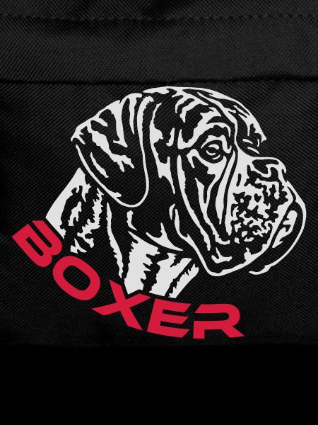 587 Boxer