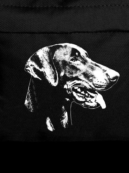 Dobermann Kopf