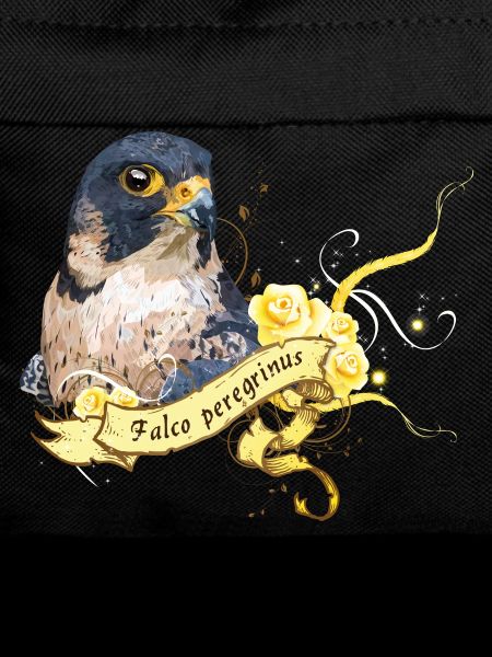 Peregrine falcon