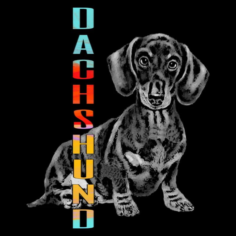 Dachshund