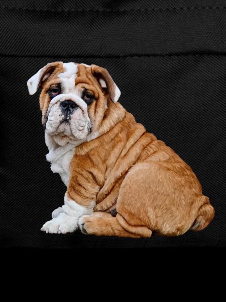 Bulldog