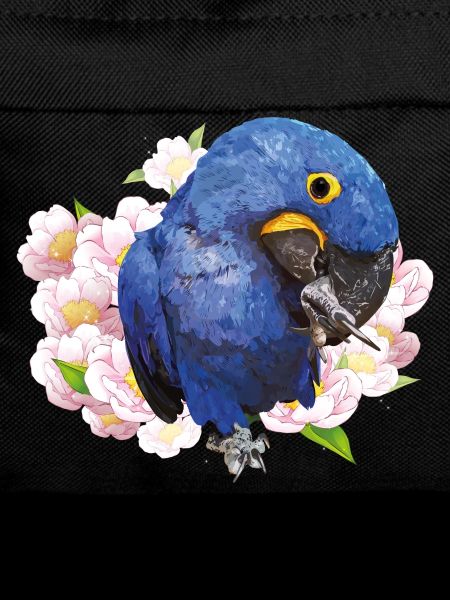 Hyacinth Macaw