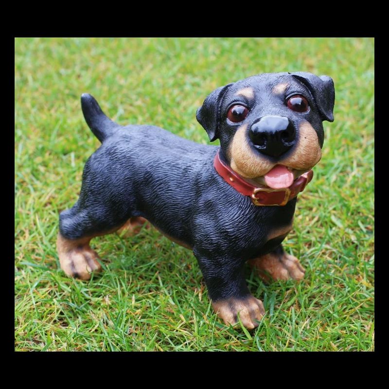 Mignon chiot teckel imprimé