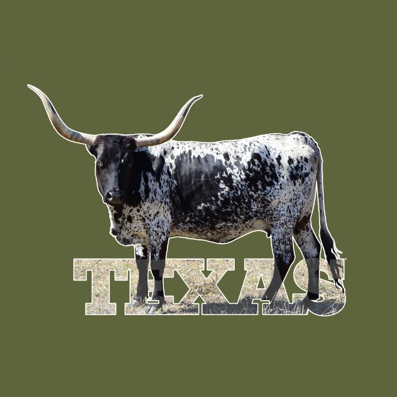 Texas Longhorns