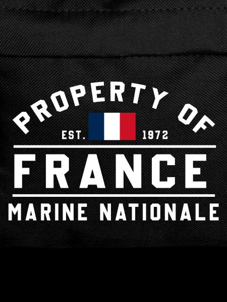 French Navy Ownership