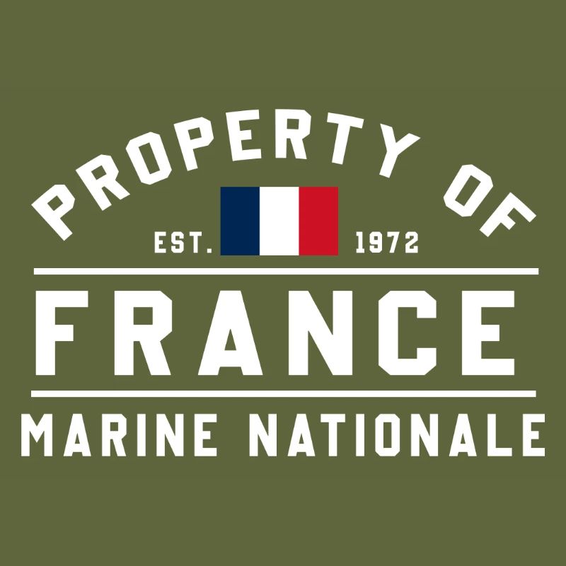 French Navy Ownership