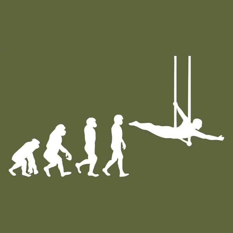 Flying Trapeze Artist Circus Gymnastics Evolution