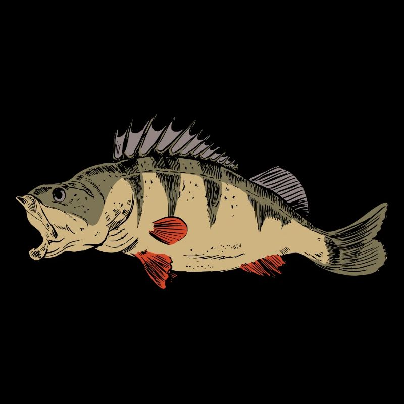 Ritters de pêche à la perche Pêcheurs prédateurs de perches