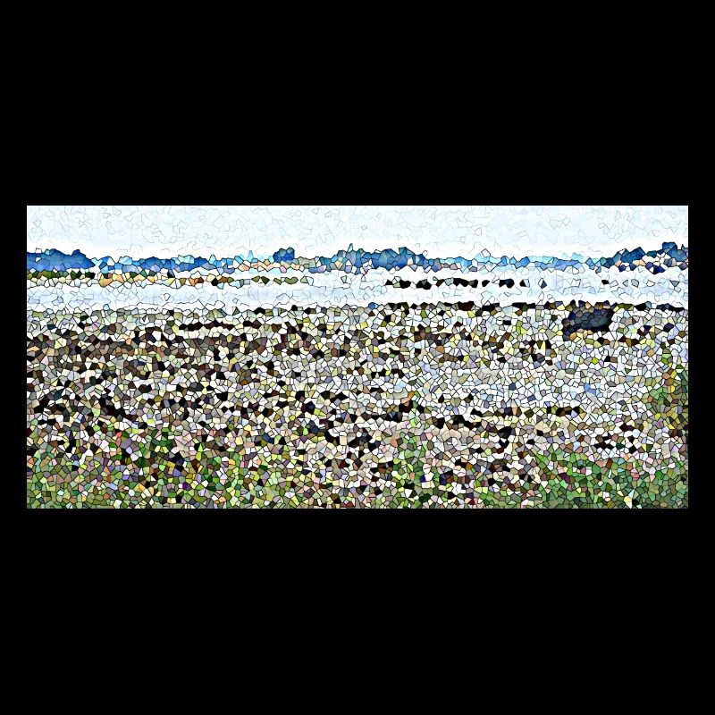 Low tide in Brittany