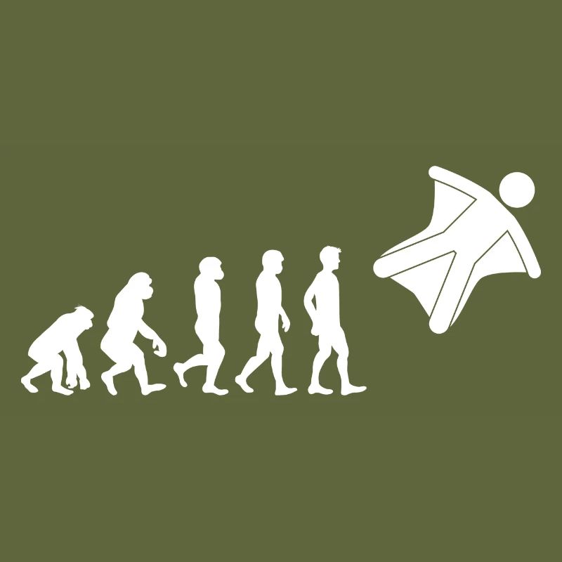 Wingsuit volant Base Jumping Skydiving Evolution