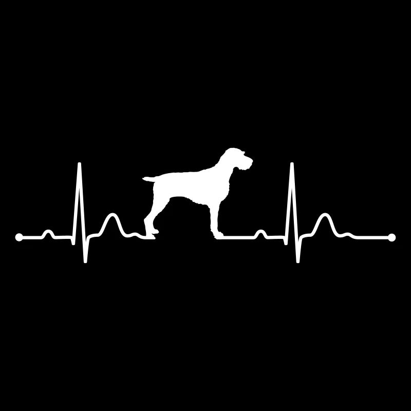 DEUTSCH DRAHTHAAR - GERMAN WIREHAIRED POINTER