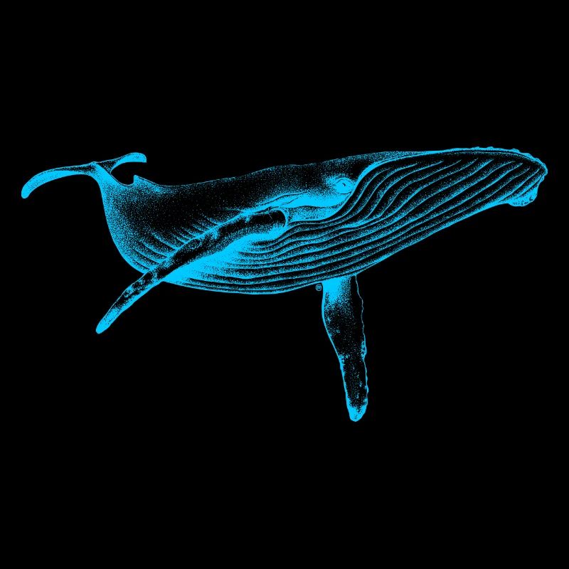 Blue Whale (Neon)