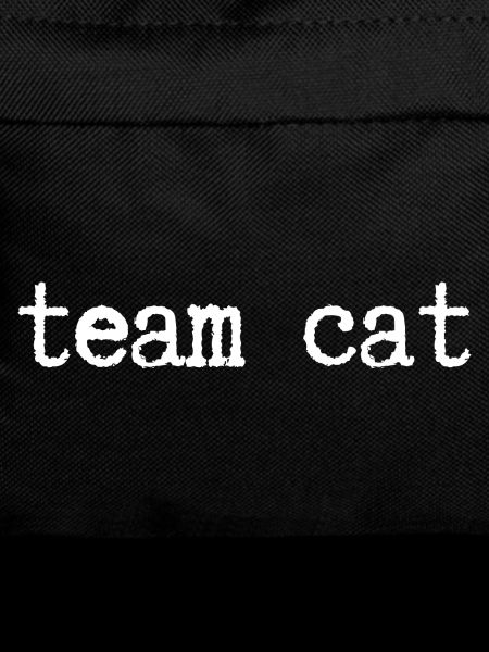 Team Katze