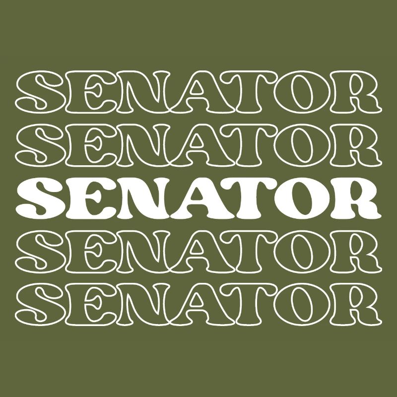 Senator Legislator Representative Lawmaker