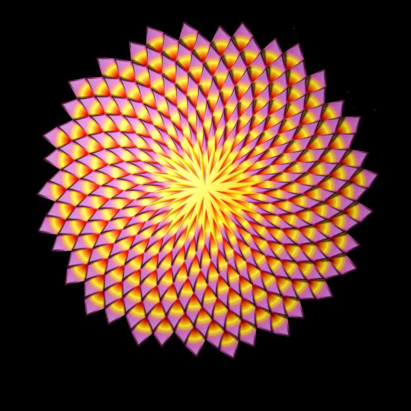 Fleur de Fibonacci