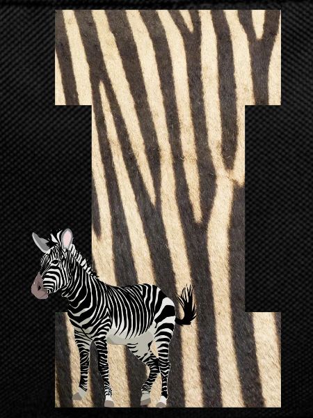 zebra i