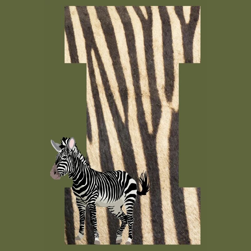 zebra i