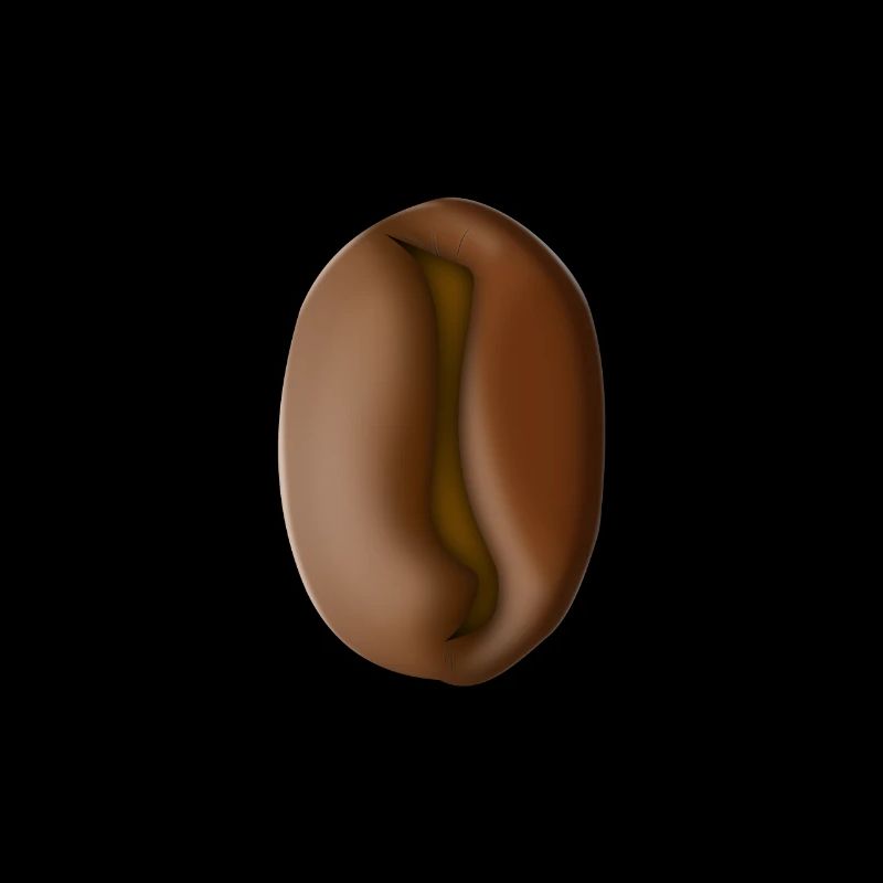 Coffee bean
