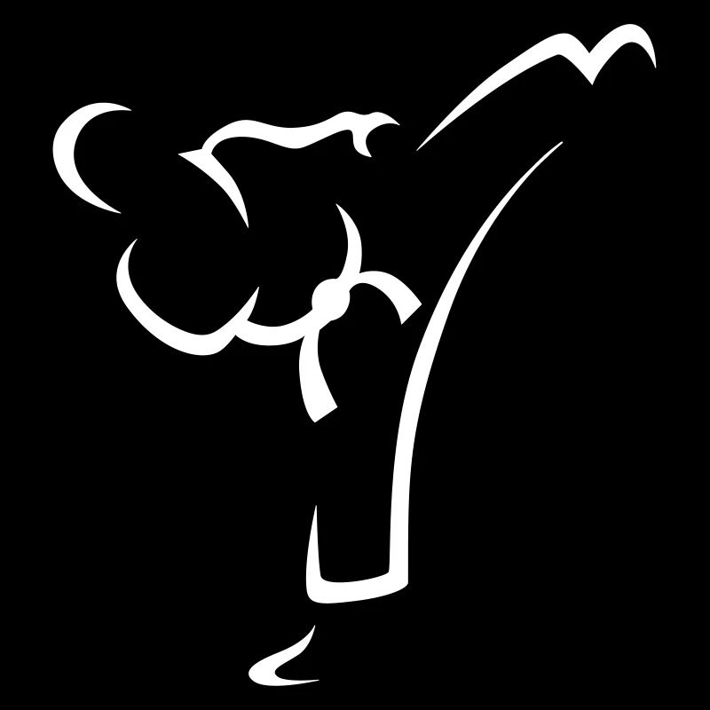 Kick martial arts Taekwondo Karate