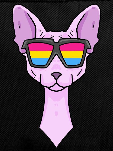 Pansexual Sphynx - Cat with glasses