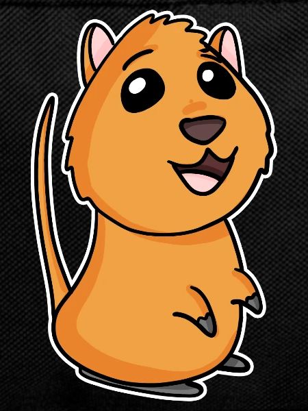 Quokka