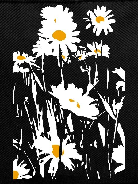 DAISIES