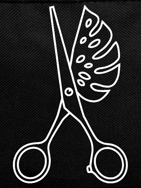 Scissors & Monstera