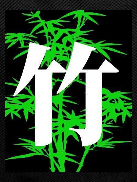 Bamboo