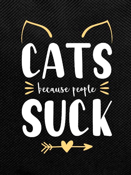 cats cat