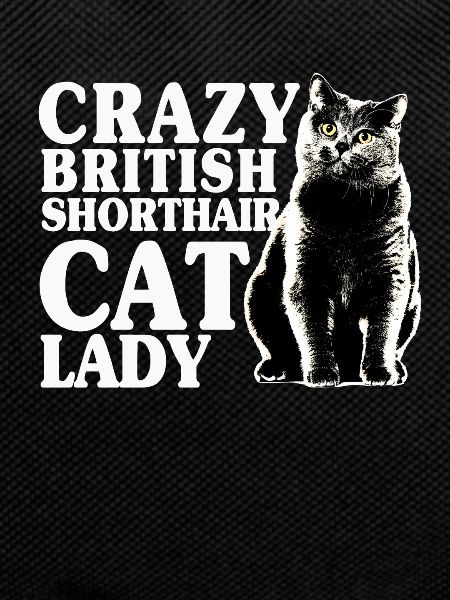 British Shorthair Cat Lady
