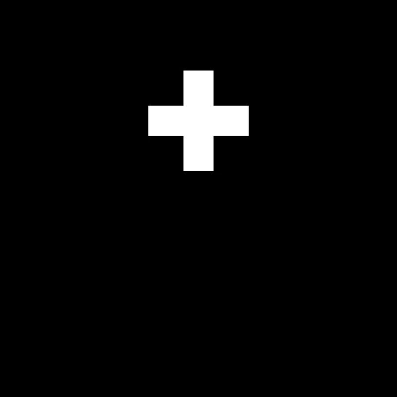 Suisse Drapeau suisse Suisse