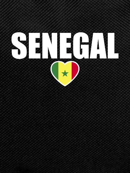 Senegal Senegalese Flag Senegalese