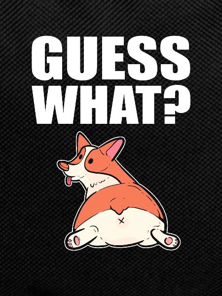 Corgi