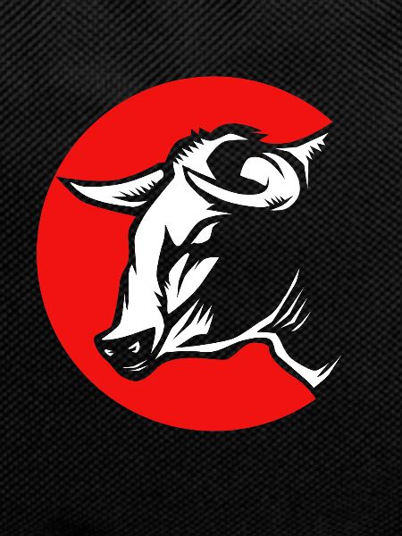 Rodeo