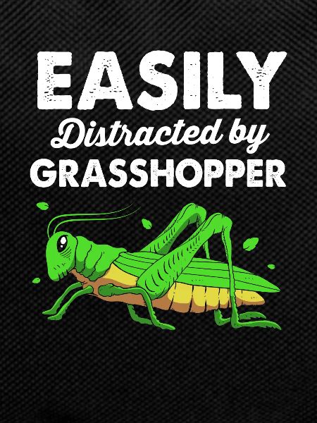Grasshopper grasshopper