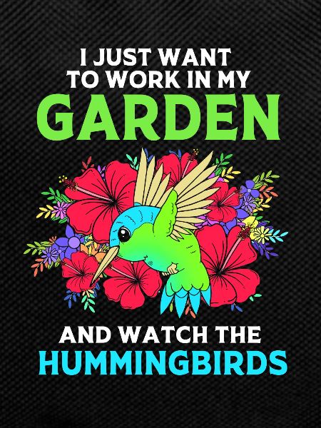 Hummingbird