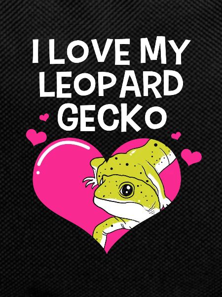 Gecko léopard