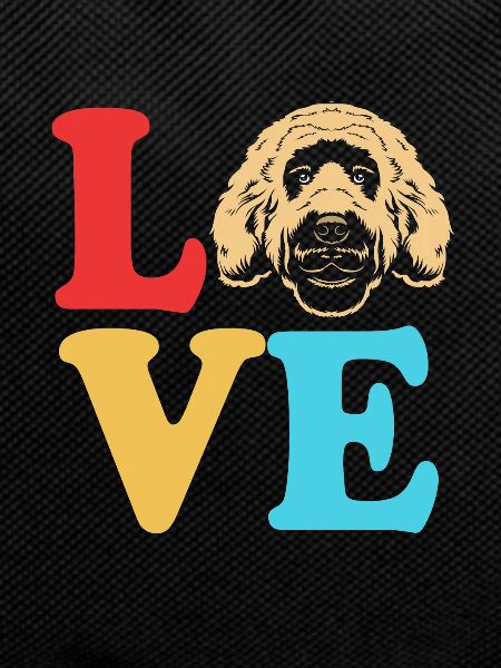 Goldendoodle