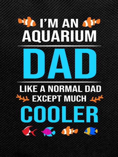 Aquarium Aquarist