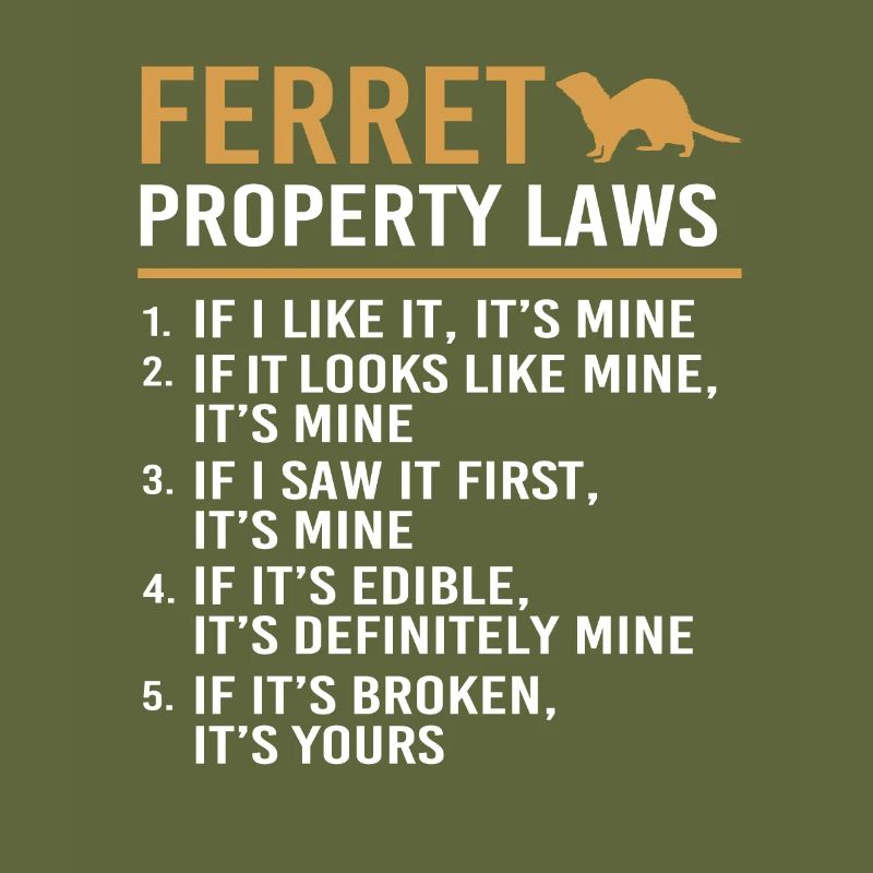 Furet