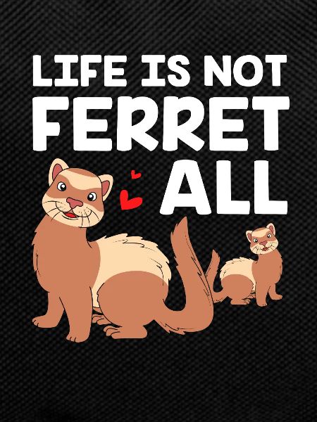 Ferret