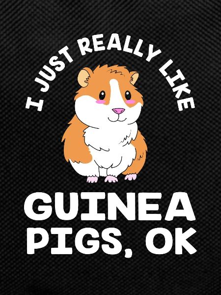 Guinea pig