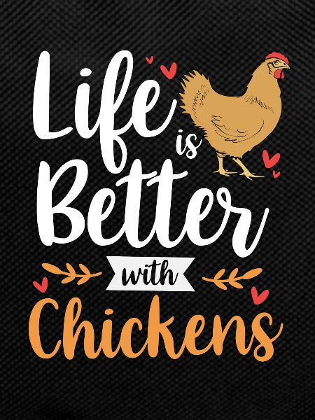 Poulet Volaille