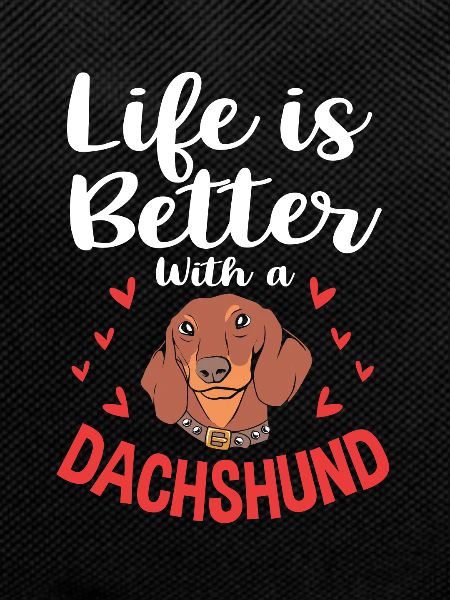 Dachshund