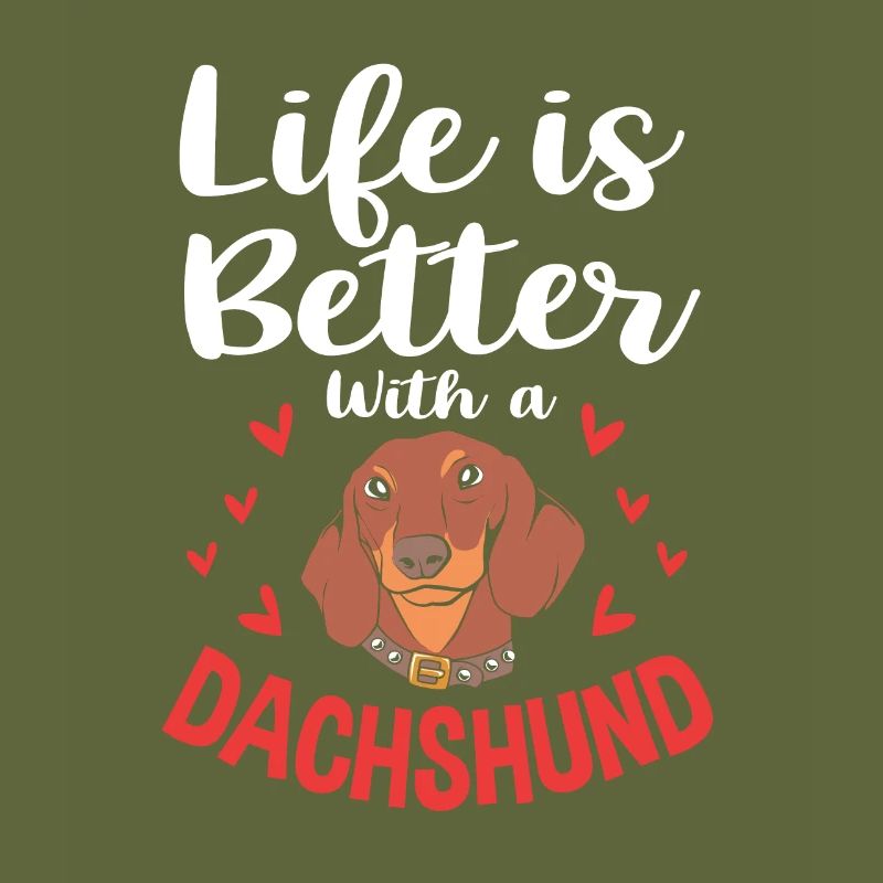 Dachshund