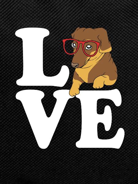 Dachshund