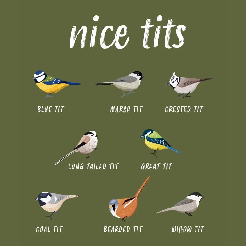 Nice tits funny birdwatching Bird gift