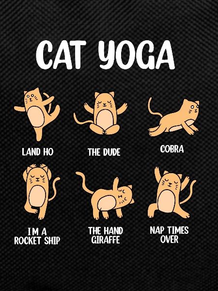 Cat Yoga